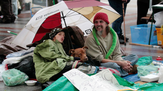 Illustration for article titled The Hot Dogs (And One Angry Cat) Of Occupy Wall Street
